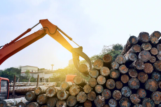 Shredding wood into fuel chips (chips)